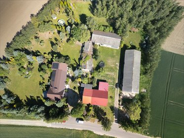 Siedlisko 9 898 m² w Rybitwach (z możliwością działalności) lokal użytkowy Rybitwy
