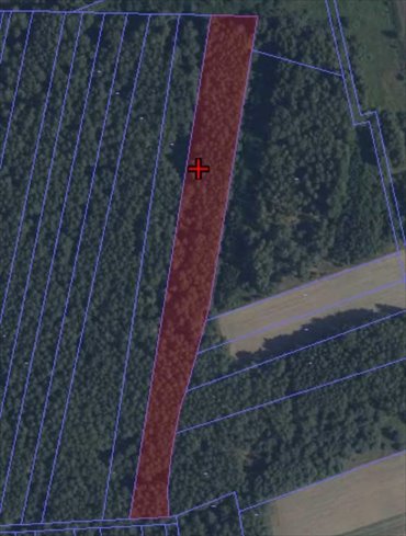 działka na sprzedaż 10902m2 działka Podnieśno