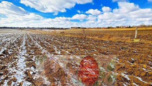 działka na sprzedaż 3500m2 działka Płouszowice-Kolonia