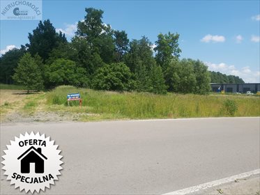 działka na sprzedaż 3992m2 działka Brzóze