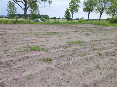 działka na sprzedaż 1007m2 działka Darłowo, Klonowa