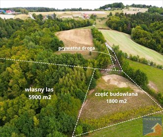 Na sprzedaż działka 8050 m² z lasem i możliwością budowy działka Szyk