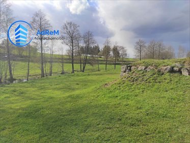 Działka siedliskowa na sprzedaż Rakówek 9 900m2 Foto 3
