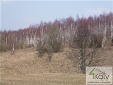 Działka rolna na sprzedaż Czarny Kierz, Czarny Kierz, Czarny Kierz 16 500m2 Foto 6