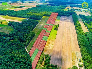 działka na sprzedaż 708m2 działka Rynia, Ostatnie działki k/Warszawy w takiej cenie!