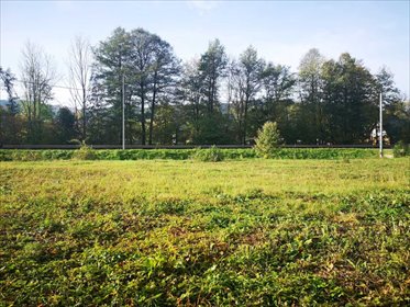 działka na sprzedaż 670m2 działka Jeleniów, Jeleniów