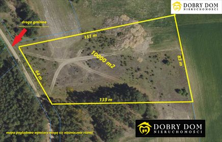 działka na sprzedaż 10000m2 działka Pańki