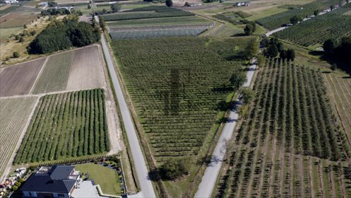 działka na sprzedaż 34900m2 działka Boglewice