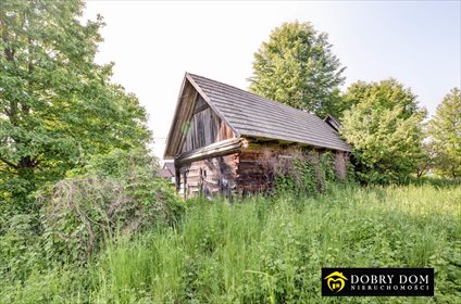 dom na sprzedaż 100m2 dom Białowieża