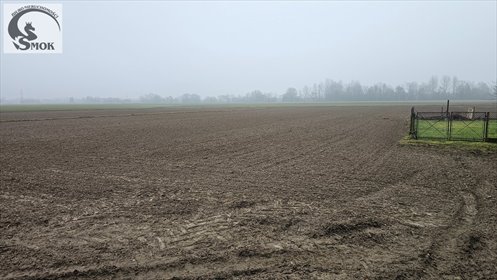 działka na sprzedaż 1100m2 działka Pierzchów