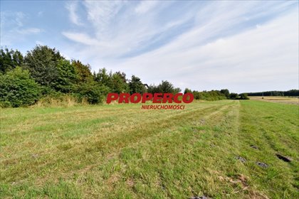 Na sprzedaż działka 9051 m² z mediami i spokojną okolicą działka Radlin