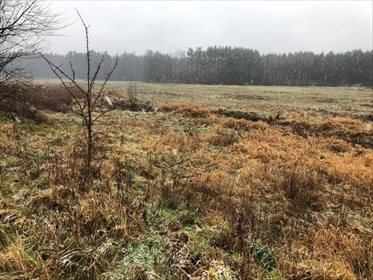 działka na sprzedaż 5430m2 działka Rusinowice