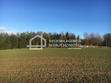 działka na sprzedaż 10000m2 działka Czarna Dąbrówka
