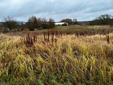 działka na sprzedaż 6700m2 działka Chojna