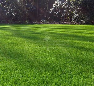 działka na sprzedaż 1000m2 działka Niemcz