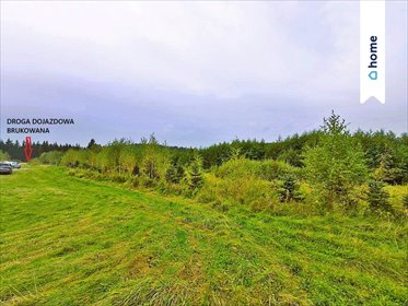 działka na sprzedaż 1246m2 działka Marcinkowo