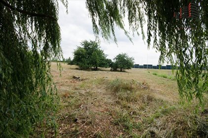 Działka budowlana na sprzedaż Łagiewniki 2 661m2 Foto 6