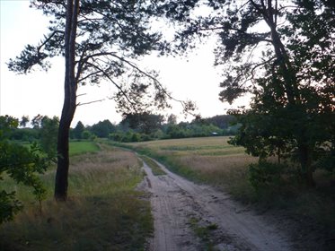 Działka rekreacyjna na sprzedaż Żołędowo 2 000m2 Foto 4