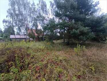 działka na sprzedaż 1000m2 działka Michałów-Reginów