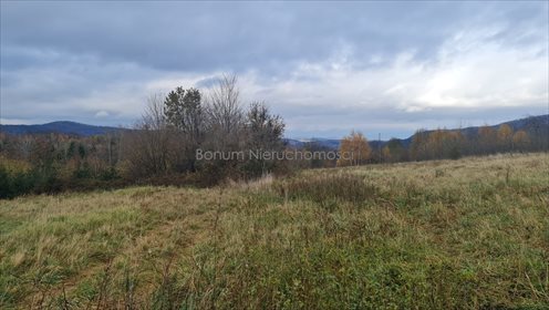 Działka budowlana na sprzedaż Dębowina 3 280m2 Foto 3
