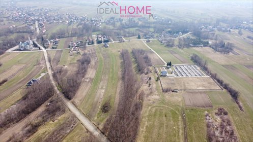Działka rolna na sprzedaż Borek Wielki 4 164m2 Foto 2
