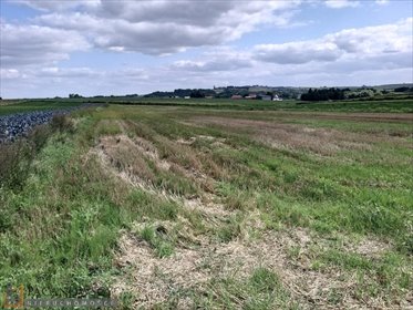 działka na sprzedaż 12660m2 działka Łososkowice