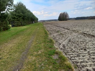 działka na sprzedaż 3256m2 działka Kębliny