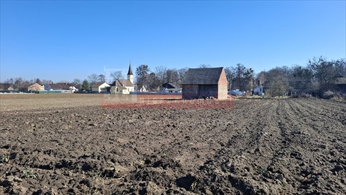 działka na sprzedaż 1258m2 działka Niewodniki