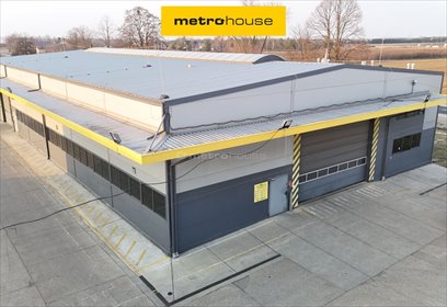Na sprzedaż nowoczesna hala magazynowa 2000 m² przy DK 801 lokal użytkowy Warszawice