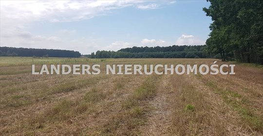 Działka inna na sprzedaż Charbice Dolne 8 000m2 Foto 5