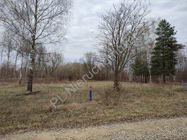 działka na sprzedaż 6000m2 działka Radonie