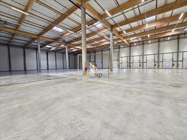 Magazyn 4400 m² z 12 dockami i wysokim standardem magazyn Duchnów