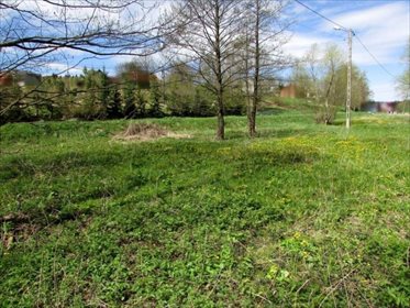 Działka inwestycyjna na sprzedaż Szklary, Szklary, Szklary 1 800m2 Foto 7