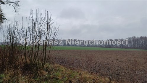 Zapraszam do obejrzenia działki rolnej 21 335 m² z możliwością podziału działka Więzowno