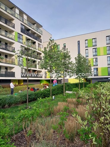 mieszkanie na sprzedaż 79m2 mieszkanie Warszawa, Żoliborz, Kaliny Jędrusik