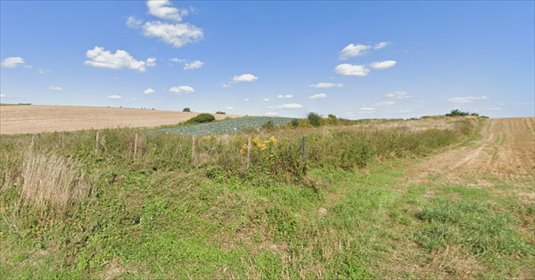 działka na sprzedaż 2776m2 działka Konopnica