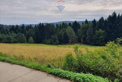 Działka rolna na sprzedaż Bartkowa-Posadowa 15 200m2 Foto 1