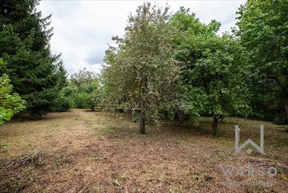 Działka budowlana na sprzedaż Gostynin, Bierzewice, Kutnowska 10 070m2 Foto 1