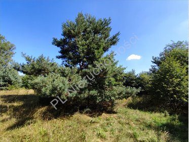 działka na sprzedaż 20000m2 działka Komorów