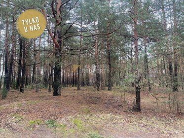 Działka z lasem pod dom z MPZP, media, 4,5 km od Radzymina. działka Radzymin, Piaskowa