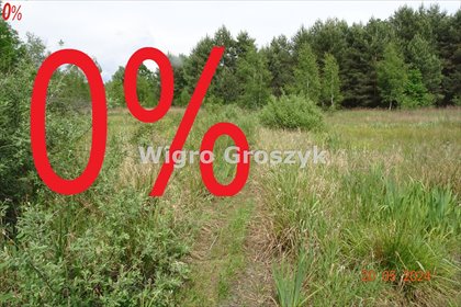 działka na sprzedaż 19100m2 działka Ługówka