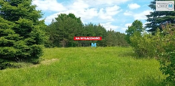 działka na sprzedaż 6500m2 działka Pierzchnica, Pierzchnianka