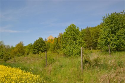 działka na sprzedaż 3300m2 działka Winnica