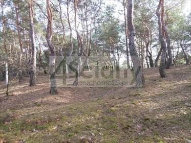 Na sprzedaż zalesiona działka 1705 m² w willowej dzielnicy Legionowa działka Legionowo, Bukowiec