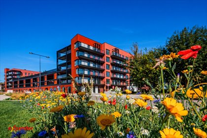 mieszkanie na sprzedaż 26m2 mieszkanie Gdańsk, Śródmieście, Sienna Grobla