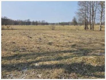 Działka 1320 m² w Grądzkim - polecam działka Grądzkie