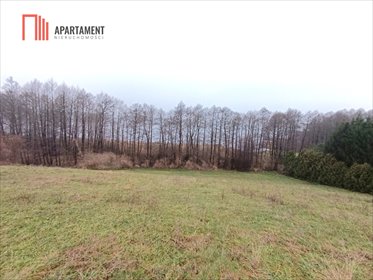 Malownicza działka nad jeziorem Trupel 2507 m² polecam działka Szwarcenowo