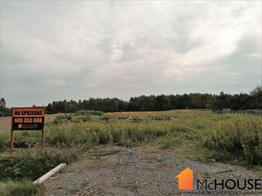 Działka budowlana na sprzedaż Grzybów, Grzybów 3 259m2 Foto 3