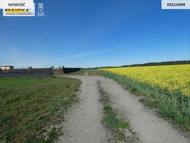Urokliwa działka 1800 m² pod dom w Przypółsku działka Przypólsko