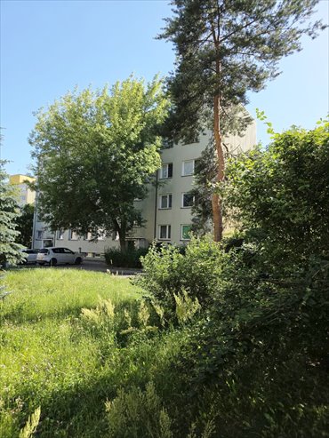 2-pokojowe mieszkanie umeblowane, jasne, blisko uczelni zapraszam mieszkanie Wrocław, Śródmieście, Biskupin, Bacciarellego